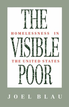 The Visible Poor - Blau, Joel