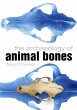 The Archaeology of Animal Bones - Bild 1