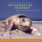 Interrupted Journey