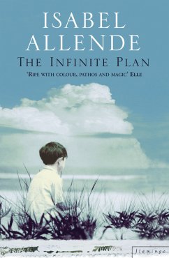 The Infinite Plan - Allende, Isabel