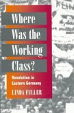 Where Was the Working Class?