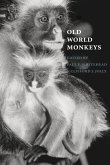 Old World Monkeys