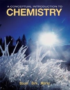 A Conceptual Introduction to Chemistry - Bauer, Rich; Birk, James; Marks, Pamela S.