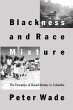 Blackness and Race Mixture - Bild 1