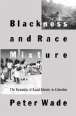 Blackness and Race Mixture
