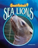 Sea Lions