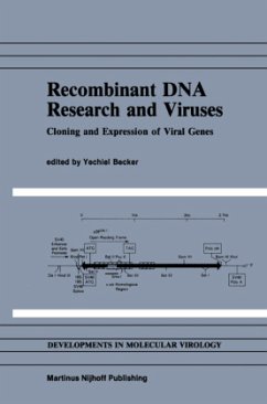 Recombinant DNA Research and Viruses - Becker, Y. (Hrsg.)