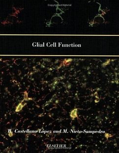 Glial Cell Function (Paperback) - Castellano Lopez, B. / Nieto-Sampedro, M.