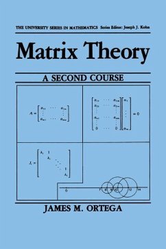 Matrix Theory: A Second Course - Ortega, James M.