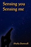 Sensing You Sensing Me Sensing You Sensing Me