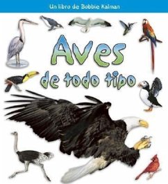 Aves de Todo Tipo (Birds of All Kinds) - Sjonger, Rebecca