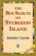 The, Boy Scouts on Sturgeon Island - Bild 1