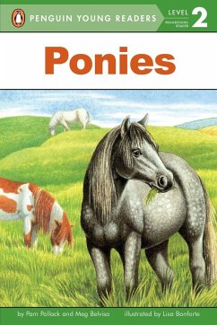 Ponies - Pollack, Pam; Belviso, Meg