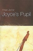 Joyce's Pupil