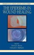 The Epidermis in Wound Healing - Bild 1