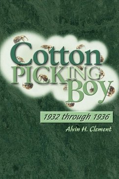 Cotton Picking Boy