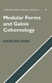 Modular Forms and Galois Cohomology