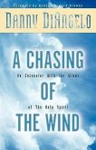 A Chasing of the Wind: An Encounter with the Winds of the Holy Spirit