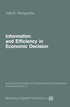 Information and Efficiency in Economic Decision - Sengupta, Jati K.
