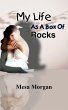 My Life As A Box Of Rocks - Bild 1