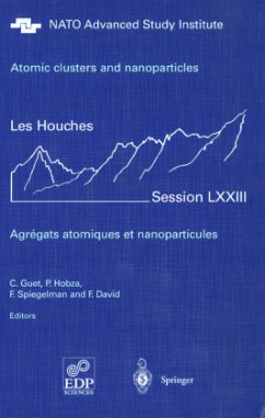 Atomic clusters and nanoparticles. Agregats atomiques et nanoparticules - Guet, Claude / Hobza, Pavel / Spiegelman, Fernand / David, Francois (eds.)