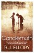 Candlemoth - Bild 1