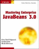 Mastering Enterprise JavaBeans 3.0