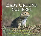 Baby Ground Squirrel