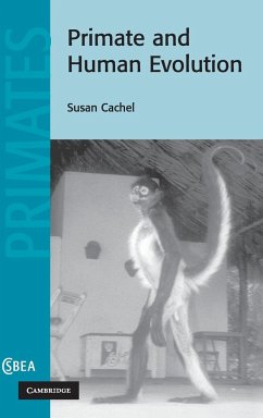 Primate and Human Evolution - Cachel, Susan