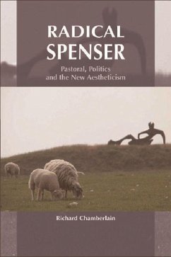 Radical Spenser - Chamberlain, Richard