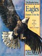 Eagles - Bild 1