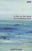 A Fire in His Head: Stories of Wandering Aengus