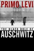 The Black Hole of Auschwitz