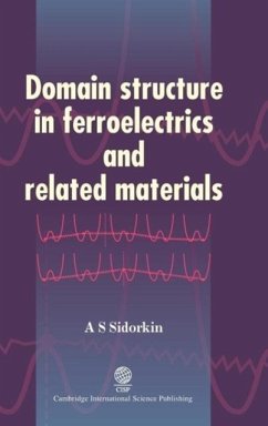 Domain Structure in Ferroelectrics and Related Materials - Sidorkin, A. S.