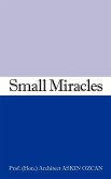 Small Miracles