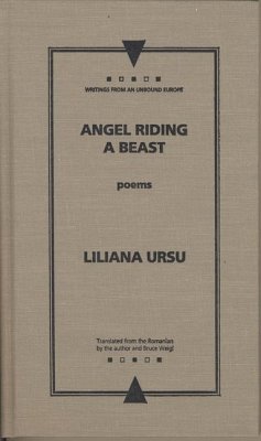 Angel Riding a Beast - Ursu, Liliana