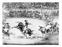 Great Goya Etchings - Goya, Francisco De