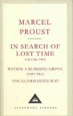 In Search Of Lost Time Volume 2