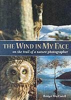 Cover Wind in My Face