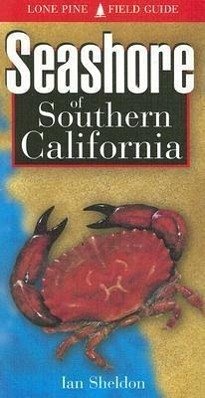 Seashore of Southern California - Sheldon, Ian