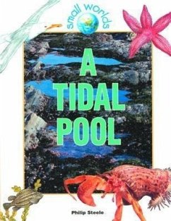 A Tidal Pool - Steele, Philip