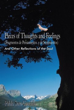 Pieces of Thoughts and Feelings (Fragmentos de Pensamientos y de Sentimientos)