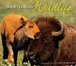 South Dakota Wildlife Impressions