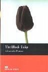 Macmillan Readers Black Tulip The Beginner