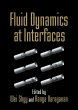 Fluid Dynamics at Interfaces - Bild 1