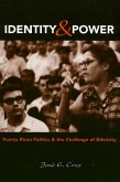Identity and Power: Puerto Rican Politics and the Challenge of Ethnicity