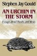 Urchin in the Storm - Bild 1