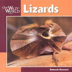 Lizards - Dennard, Deborah