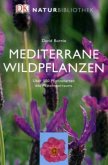 Mediterrane Wildpflanzen Mediterrane Wildpflanzen