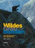 Wildes Graubünden